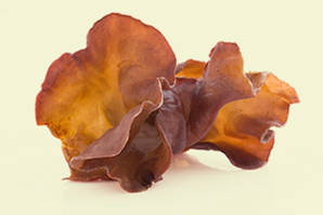 Auricularia